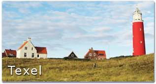 Texel